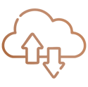 Cloud Backup - Copper